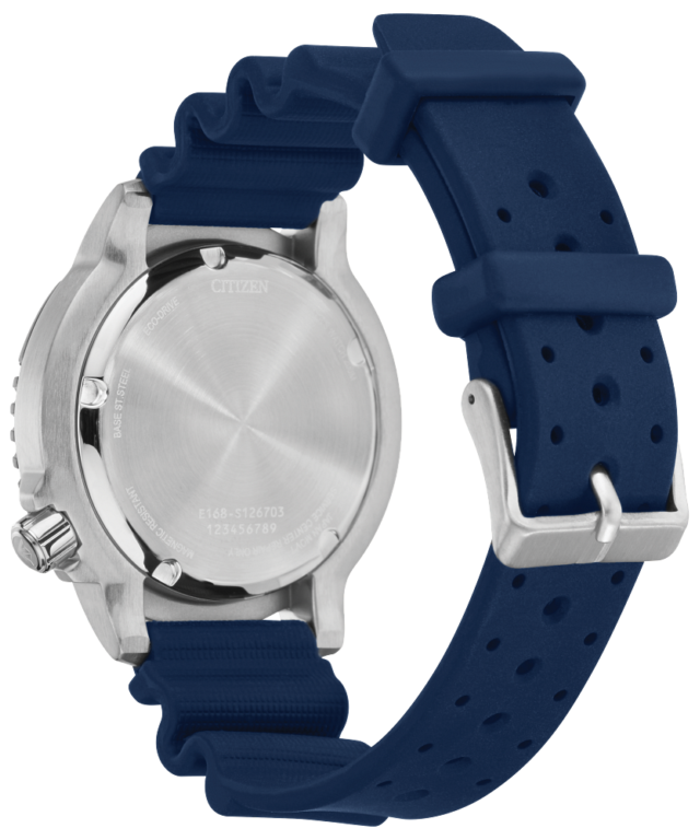 Promaster Dive Large