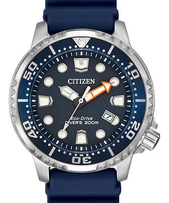 Promaster Dive